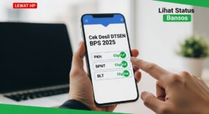 Cek Desil DTSEN BPS 2025 Lewat HP Untuk Lihat Status Bansos PKH, BPNT & BLT